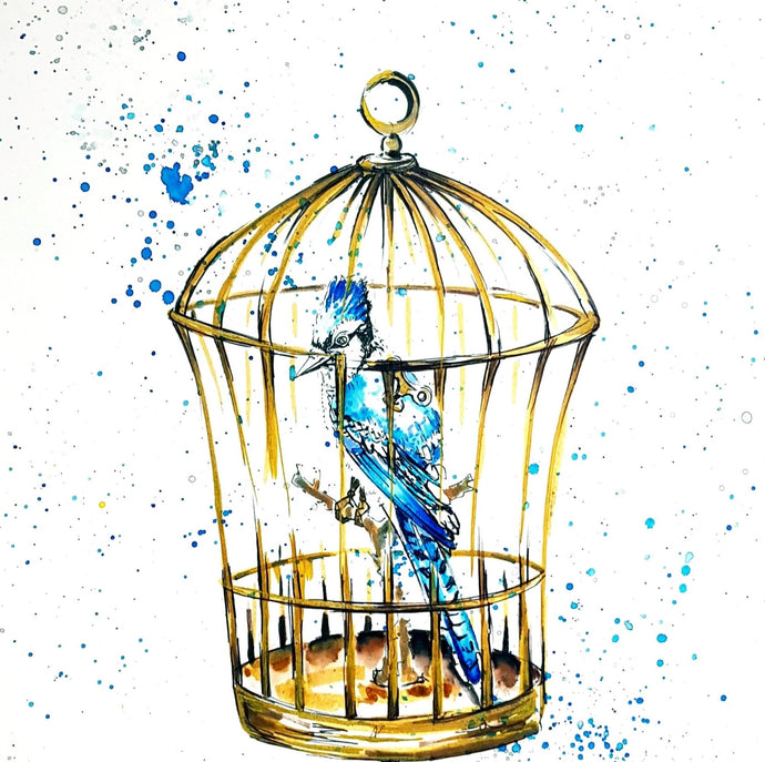 Een Blauwe vogel