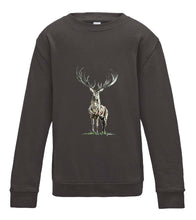 JanaRoos - T-shirts and Sweaters - Kid's Sweater - Packshot - Hand drawn illustration - Round neck - Long sleeves - Cotton - Charcoal - grijs - Reindeer - deer - hert - rendier