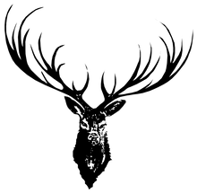 JanaRoos - Jana Roos - Hand drawn illustration - Print - Design - deer antler - black ink