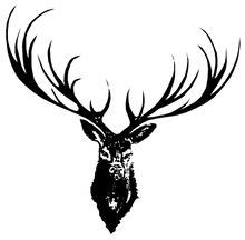 JanaRoos - Jana Roos - Hand drawn illustration - Print - Design - deer - reindeer- hert- rendier - antler - gewei - black ink - zwarte inkt