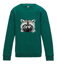 JanaRoos - T-shirts and Sweaters - Kid's Sweater - Packshot - Hand drawn illustration - Round neck - Long sleeves - Cotton - Jade - appelblauwzeegroen - raccoon - wasbeer - wasbeertje