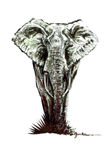 JanaRoos - Jana Roos - Hand drawn illustration - Print - Design - elephant - olifant