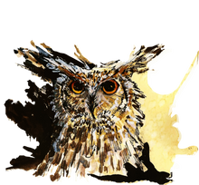 JanaRoos - Jana Roos - Hand drawn illustration - Print - Design - coffee owl - koffie uil 