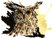 JanaRoos - Jana Roos - Hand drawn illustration - Print - Design - coffee owl - koffie uil