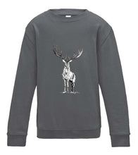 JanaRoos - T-shirts and Sweaters - Kid's Sweater - Packshot - Hand drawn illustration - Round neck - Long sleeves - Cotton - Storm grey - storm grijs - Reindeer - deer - hert - rendier