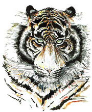 JanaRoos - Jana Roos - Hand drawn illustration - Print - Design -Siberian tiger - Siberische tijger