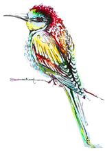 JanaRoos - Jana Roos - Hand drawn illustration - Print - colorful birds - ijsvogel - kingfisher