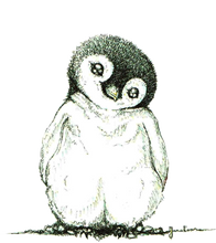 JanaRoos - Jana Roos - Hand drawn illustration - Print - Design - pinguin - penguin 