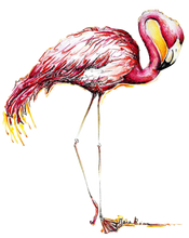 JanaRoos - Jana Roos - Hand drawn illustration - Print - Design - Pink flamingo - Roze flamingo's