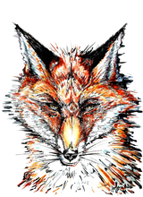 JanaRoos - Jana Roos - Hand drawn illustration - Print - Design - fox - mister fox - vos 