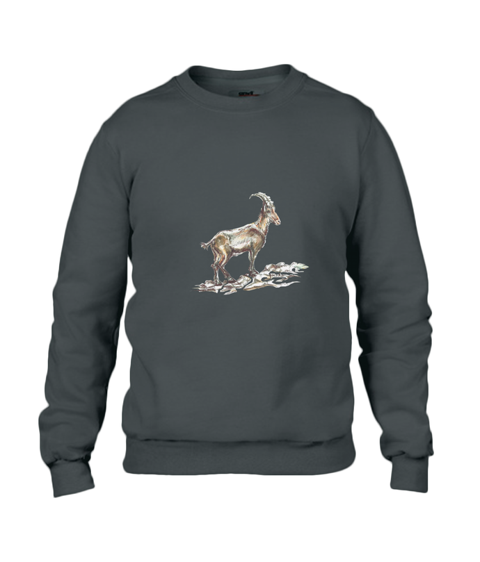 JanaRoos - T-shirts and Sweaters - Sweater - Packshot - Hand drawn illustration - Round neck - Long sleeves - Cotton - jet black - zwart - gems - mountain goat - berggeit