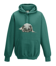 JanaRoos - Hoodies - Kids Hoodie - Packshot - Hand drawn illustration - Round neck - Long sleeves - Cotton - jade - appel blauw zeegroen - pugg - mops - dog - hond