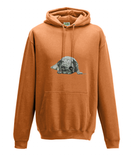JanaRoos - Hoodie - Packshot - Hand drawn illustration - Round neck - Long sleeves - Cotton -orange -pugg- mops