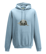 JanaRoos - Hoodie - Packshot - Hand drawn illustration - Round neck - Long sleeves - Cotton - sky blue -pugg- mops