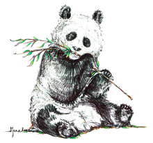 Panda bear Handdrawn illustration printdesign by JanaRoos Jana Roos Black and White Eating Bamboo