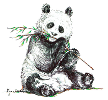 JanaRoos - Jana Roos - Hand drawn illustration - Print - Design -  panda bear - beer