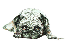 JanaRoos - Jana Roos - Hand drawn illustration - Print - Design -  Pugg - Mops - Dog - hond