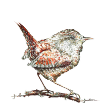 JanaRoos - Jana Roos - Hand drawn illustration - Print - Design - wren - winterkoninkje